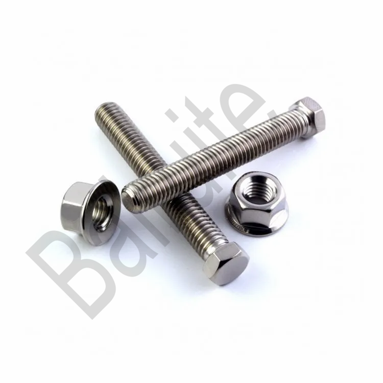 Titanium Chain Adjuster Bolts