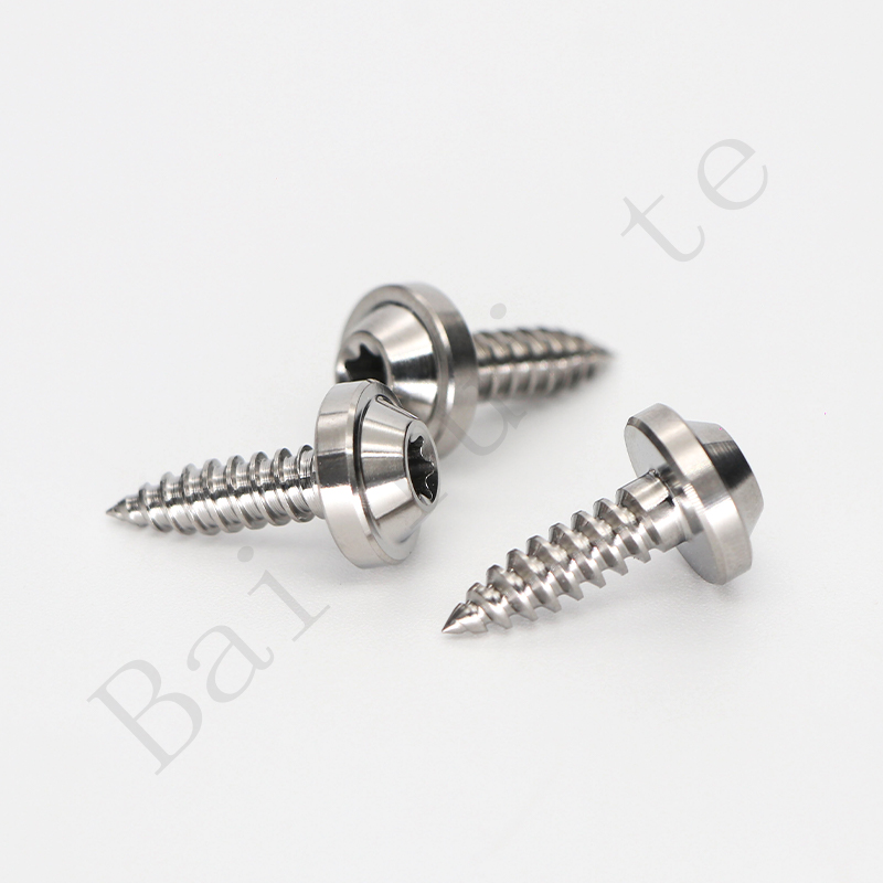 Titanium Self-Tapping Screw .jpg